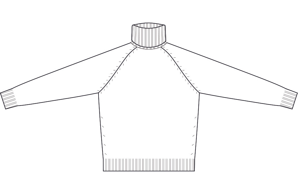 Dolcevita Raglan Rasato Puro Cashmere