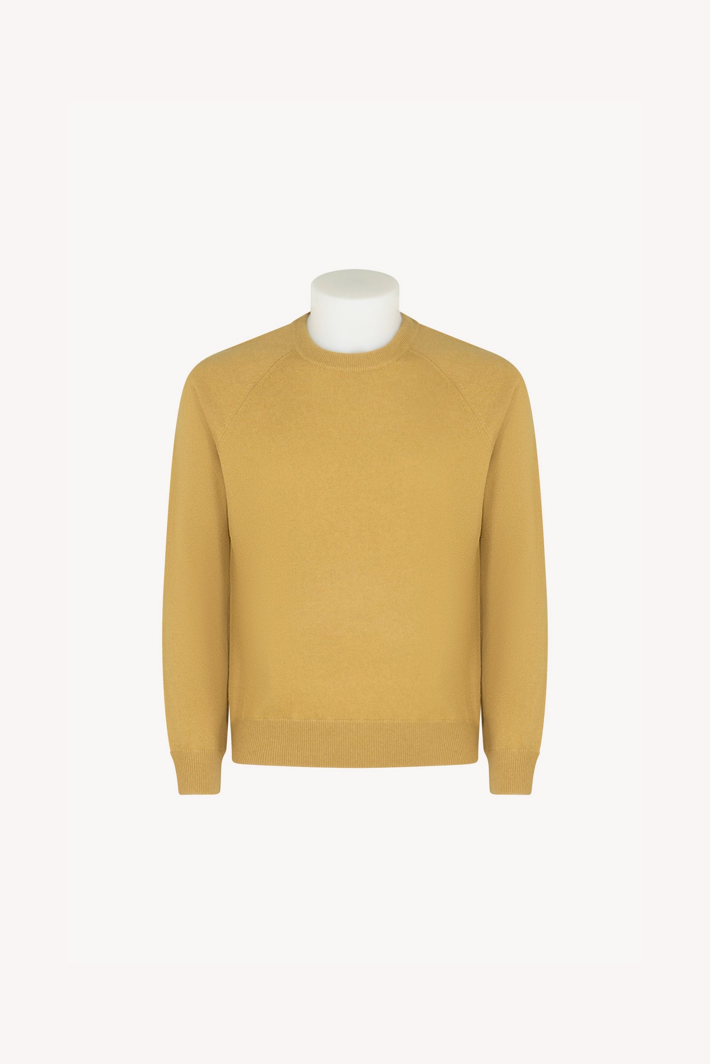 Pull Bordi Felpa Puro Cashmere