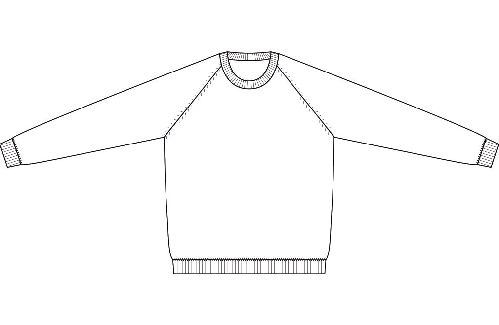 Pure Cashmere Sweatshirt
